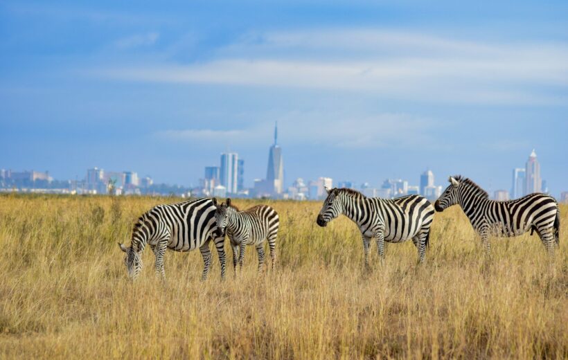 Meektrails Safaris | Best Kenya Safari Tours 15 1-Day Best of Nairobi City Excursion