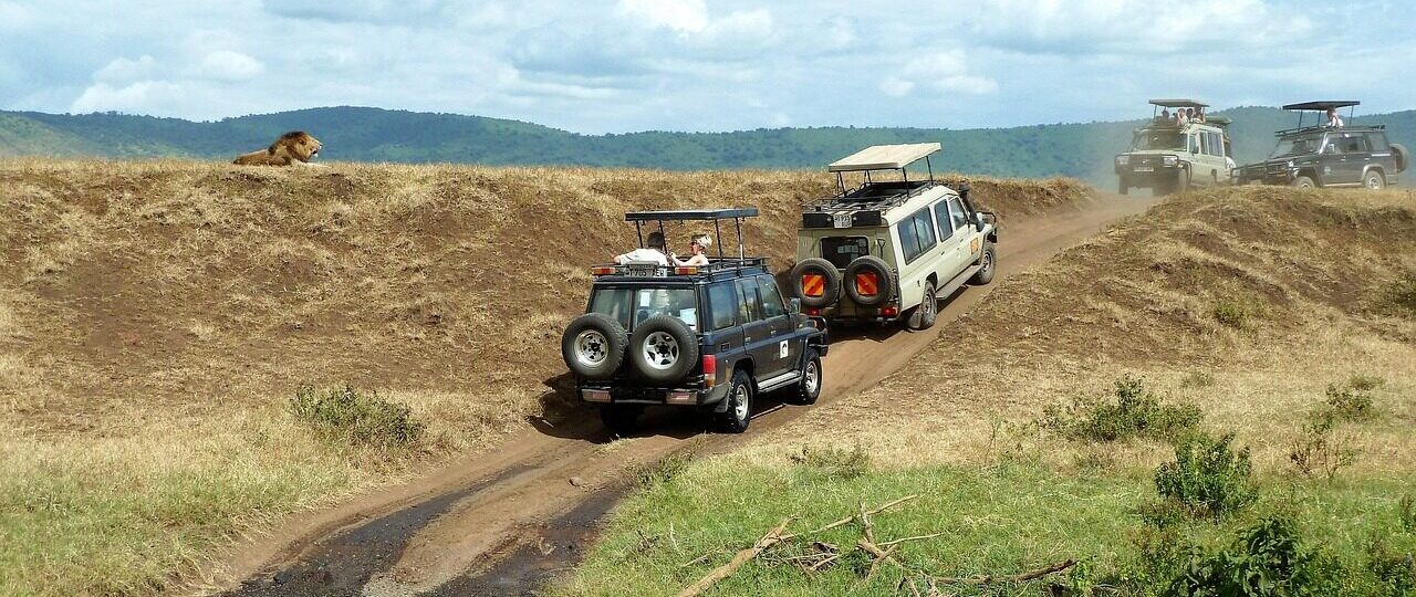 kenya tanzania safari