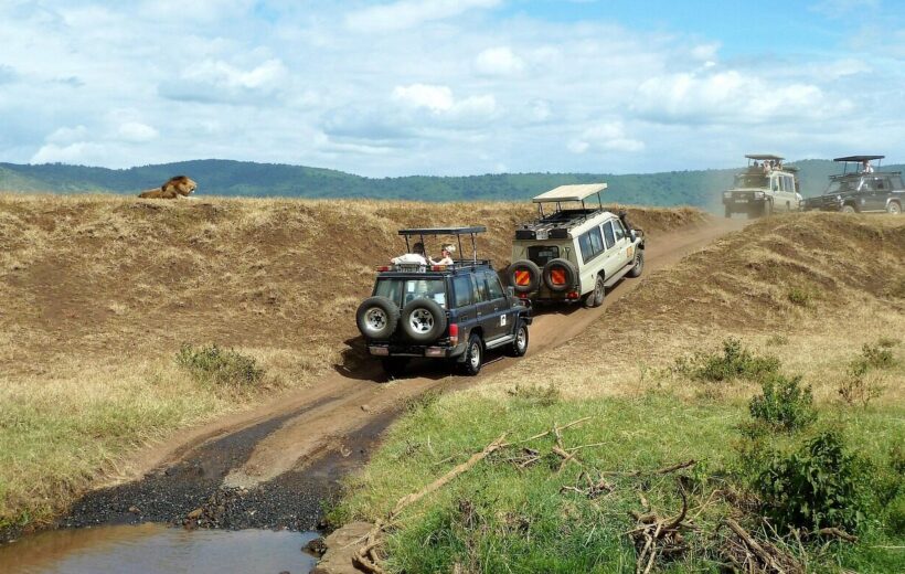 4 Days Maasai Mara, Lake Naivasha, Nakuru Budget Safari