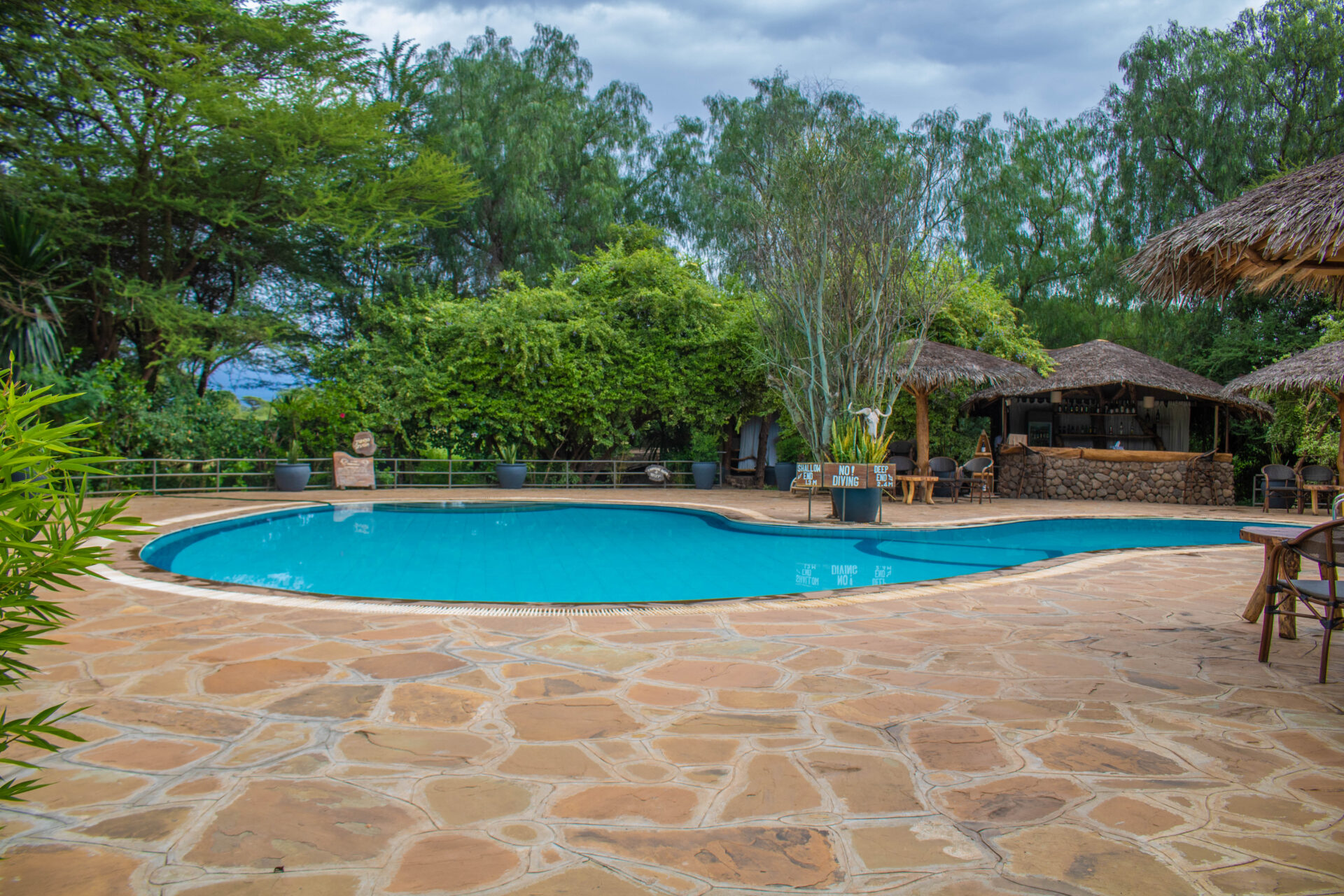Kibo Safari Camp 2 swimming pool in Kibo safari camp