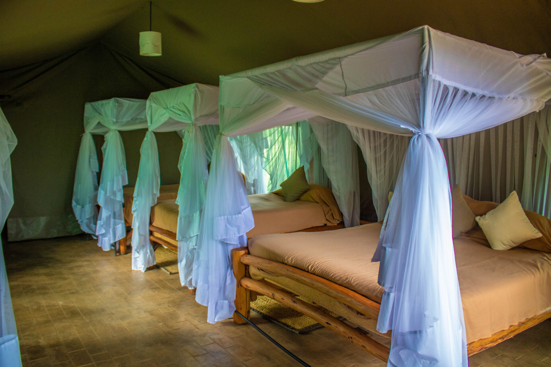 Kibo Safari Camp 3 kibo safari camp luxury tents