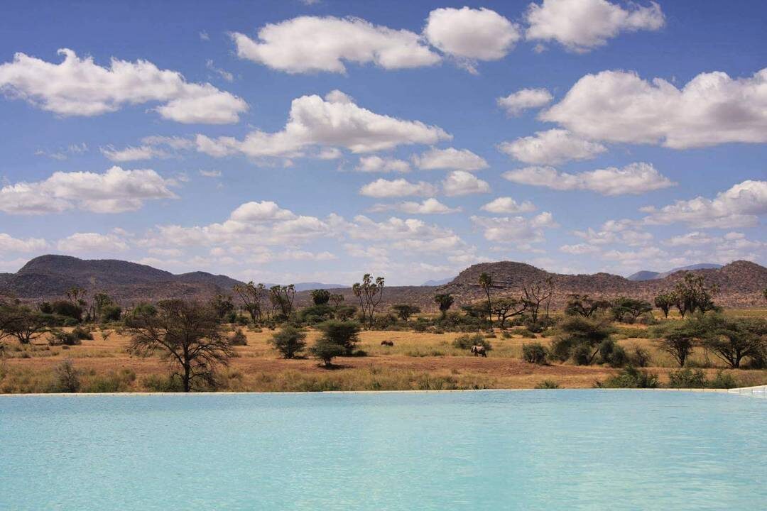 accommodation samburu simba lodge