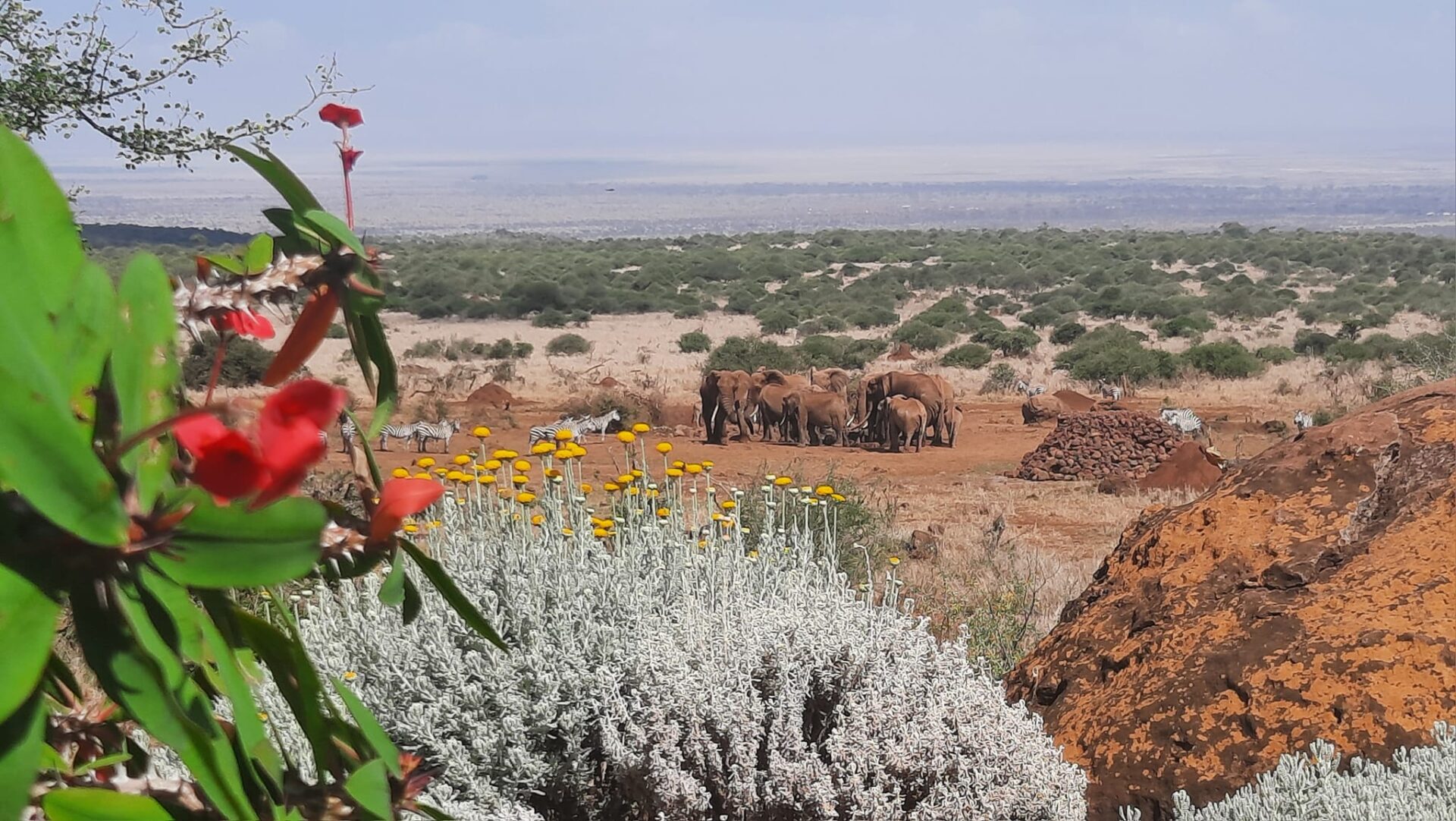 Elerai Camp 5 elerai waterhole