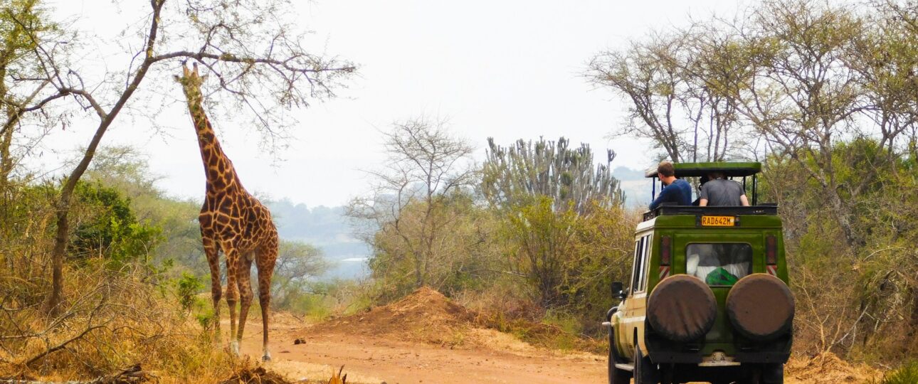 10-Day All-inclusive Tanzania Safari 3 All-inclusive Tanzania Safari