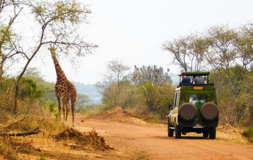Meektrails Safaris | Best Kenya Safari Tours 16 10-Day All-inclusive Tanzania Safari