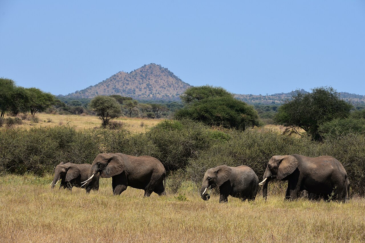 Tarangire National Park
