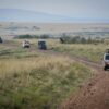 Safari and Tour Companies in Kenya