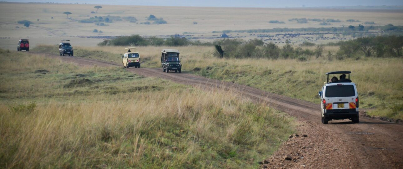 Safari and Tour Companies in Kenya