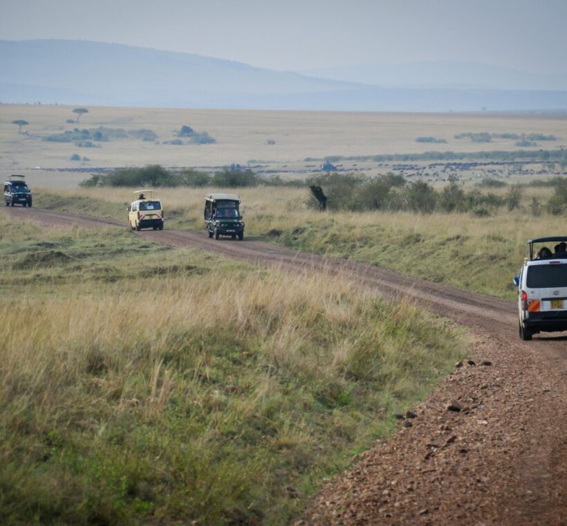 Top 10 Safari & Tour Companies in Kenya 3 Safari and Tour Companies in Kenya
