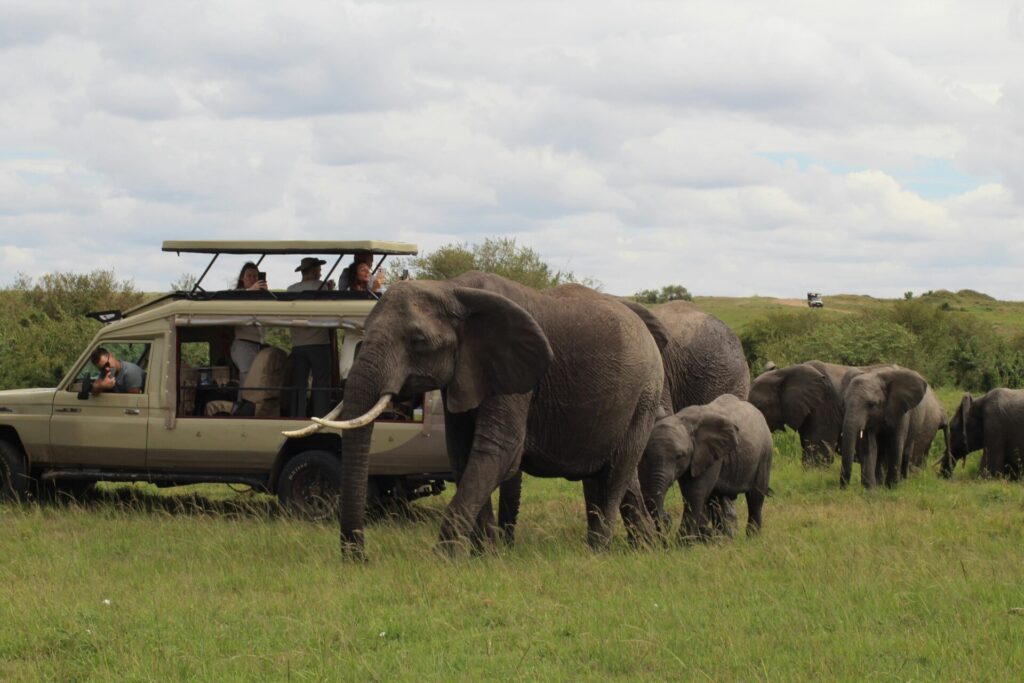 best Africa kenya safari packages