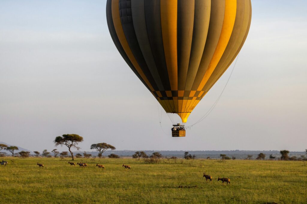 best kenya travel agency
