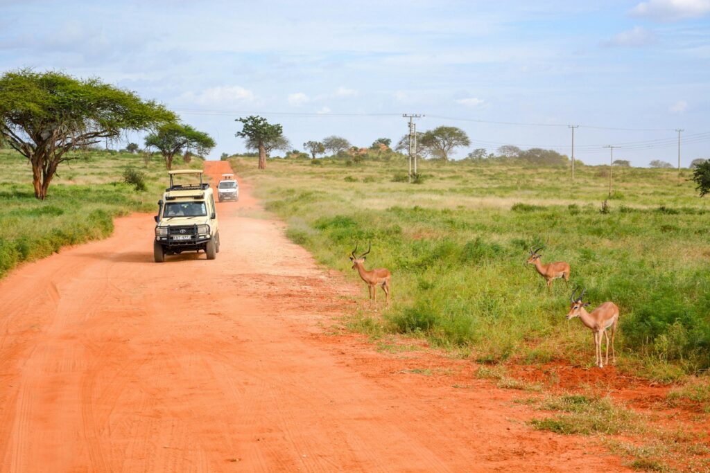 companies with best safaris in Kenya