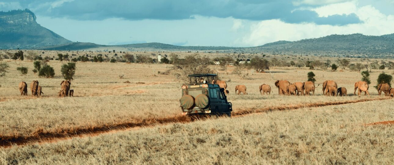 kenya safari itinerary