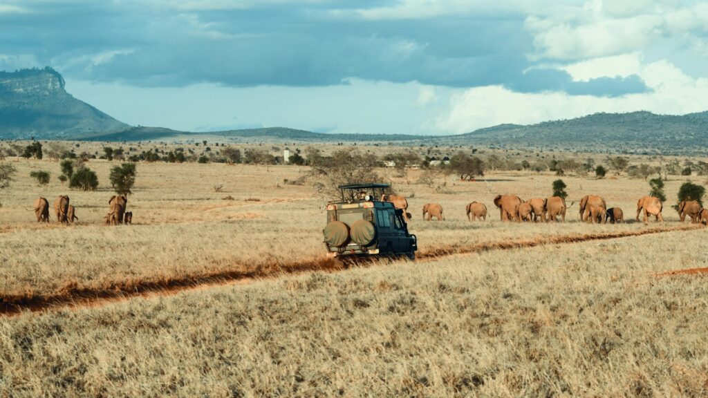 kenya tour companies