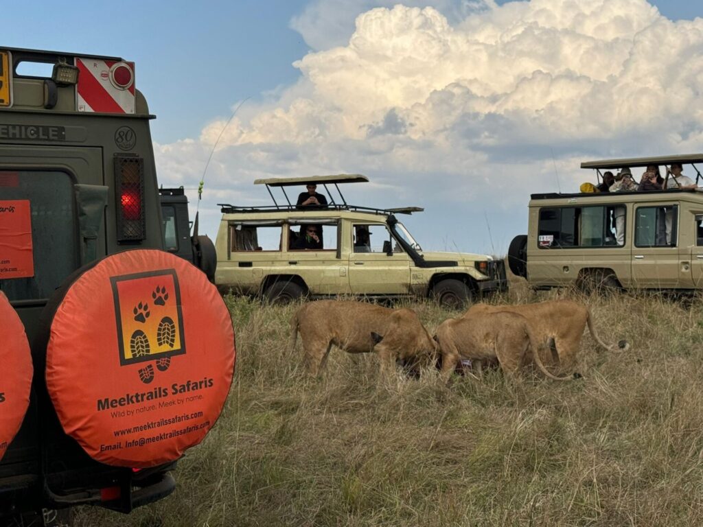 safari kenya