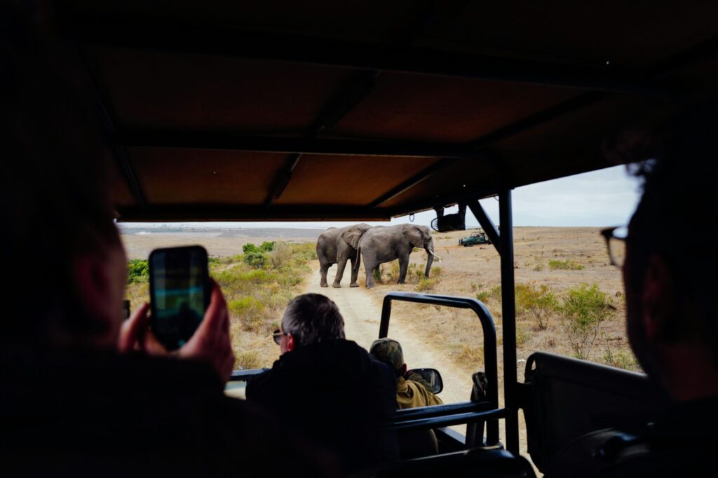 a safari in kenya prices