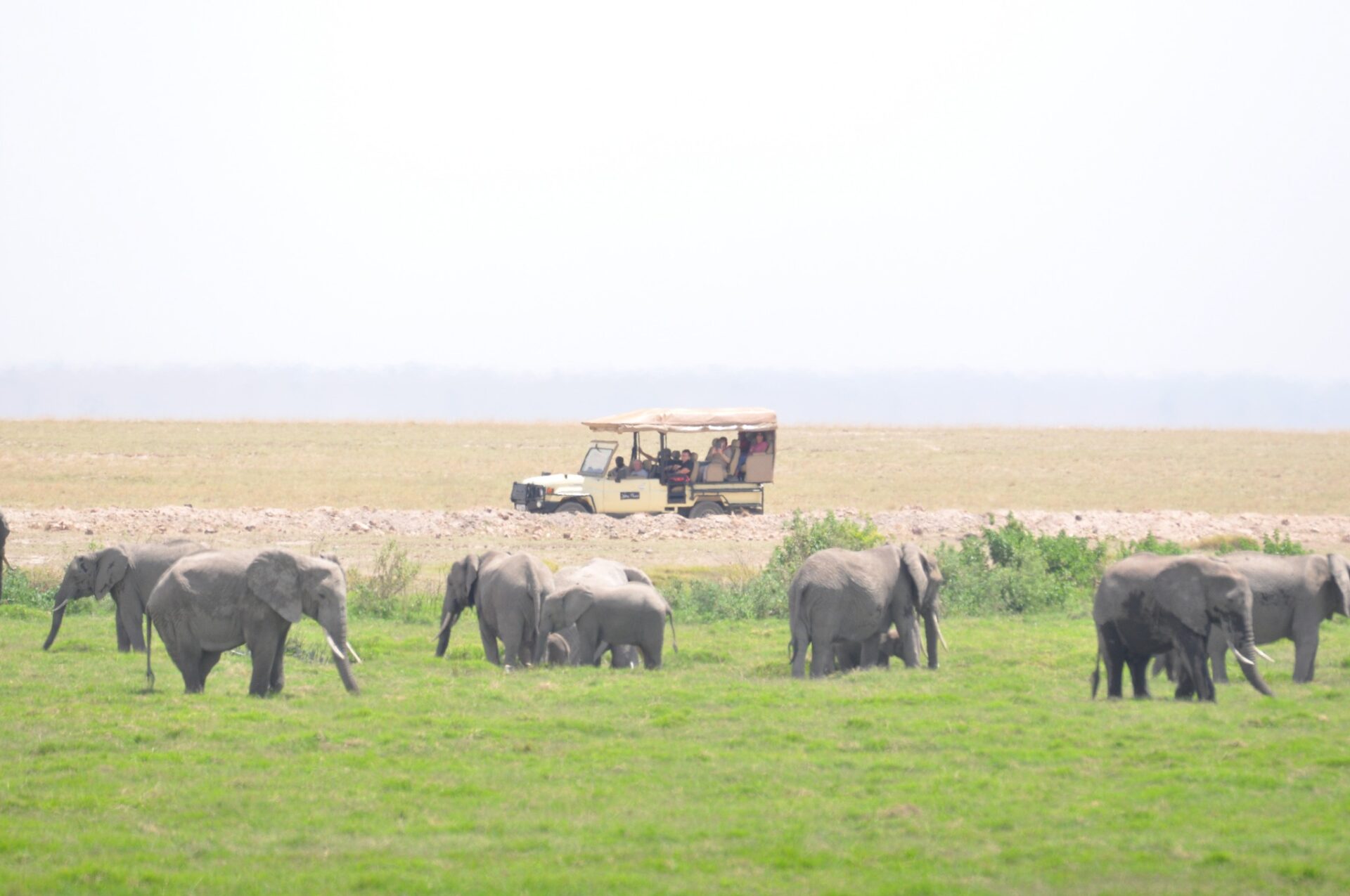 Praro Amboseli Safari Camp 5 game drive from Praro Amboseli camp