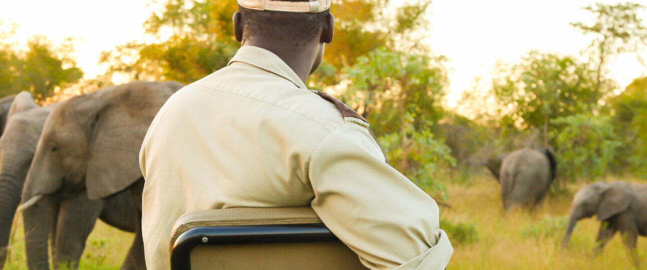 Do You Really Need a Guide for a Kenya Safari? 5 guide for a kenya safari