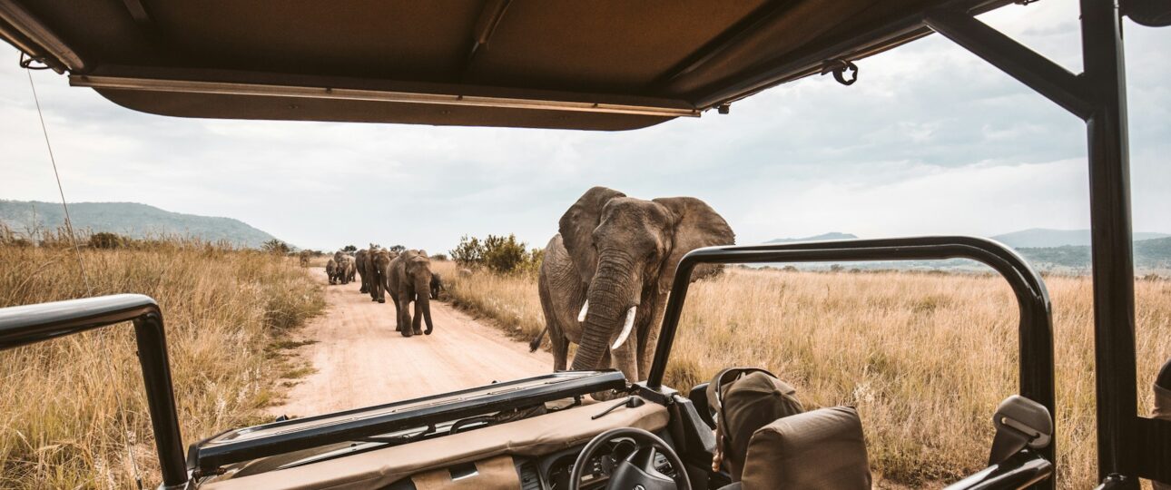 Is Kenya Safe for Tourists in 2026? 6 is kenya safe for tourists