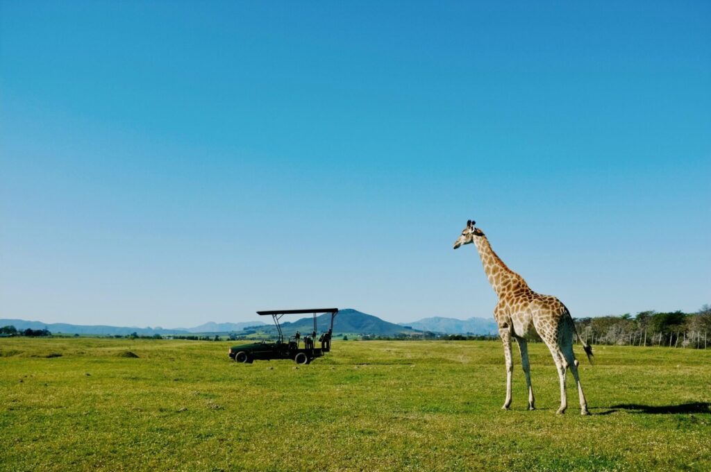 kenya safari cost