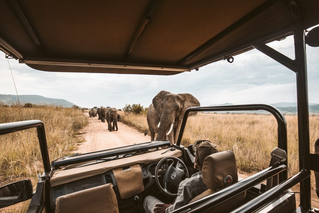 kenya travel agency
