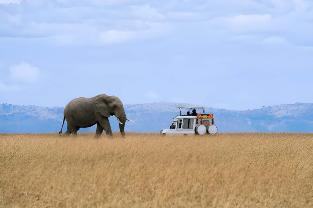 luxury safaris in kenya and tanzania