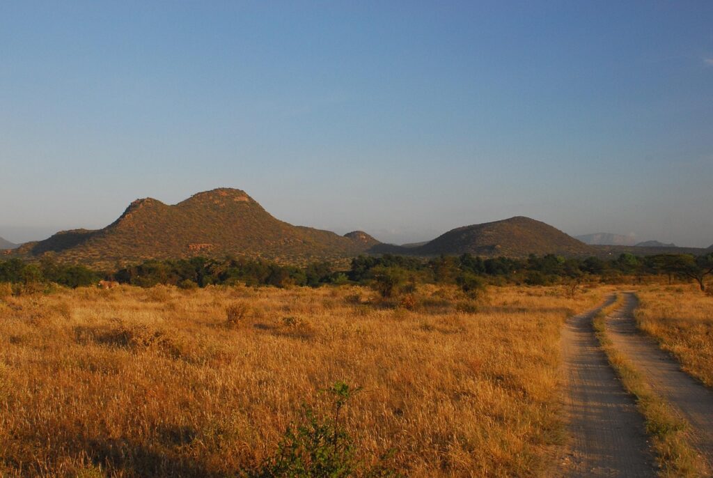 5 Reasons Why Choose Samburu (The North) Over Southern Parks 3 samburu's semi-arid landscape