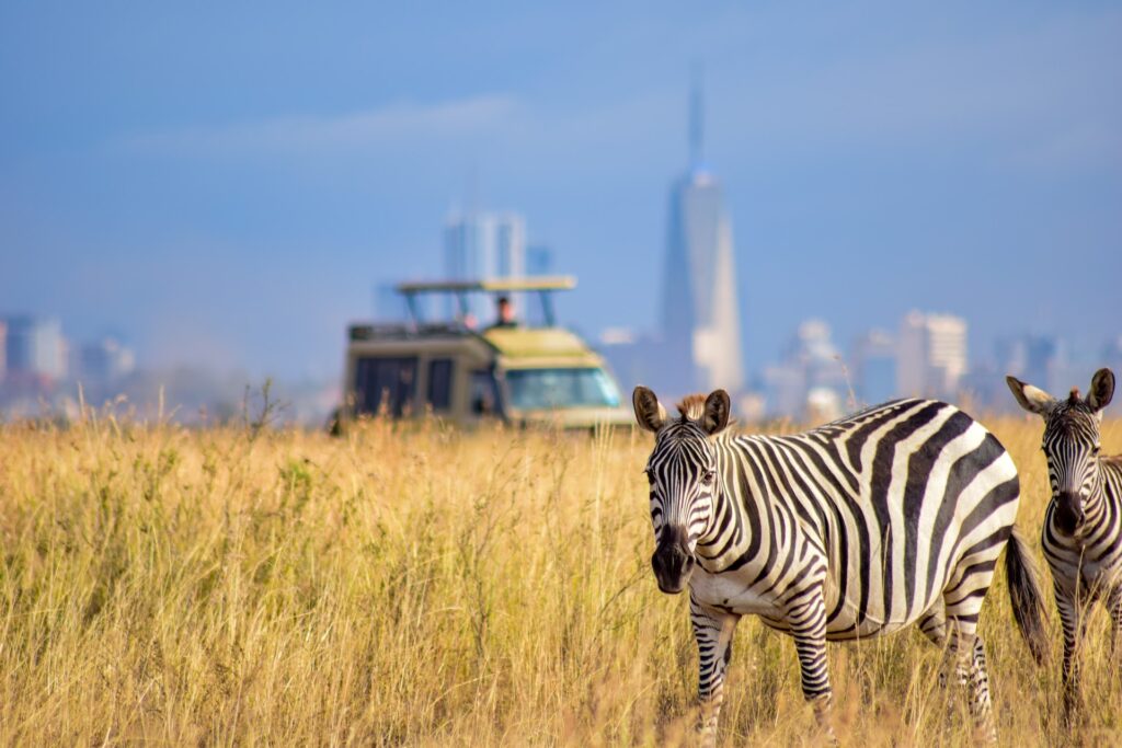 10 Reasons to Book a Kenya Safari This Year 4 value for money in safaris