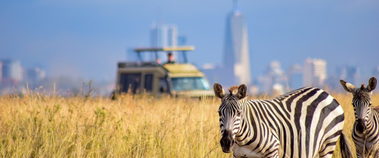 Finding the Perfect Balance: Cost, Quality & Value for Money in a Safari 9 value for money in safaris