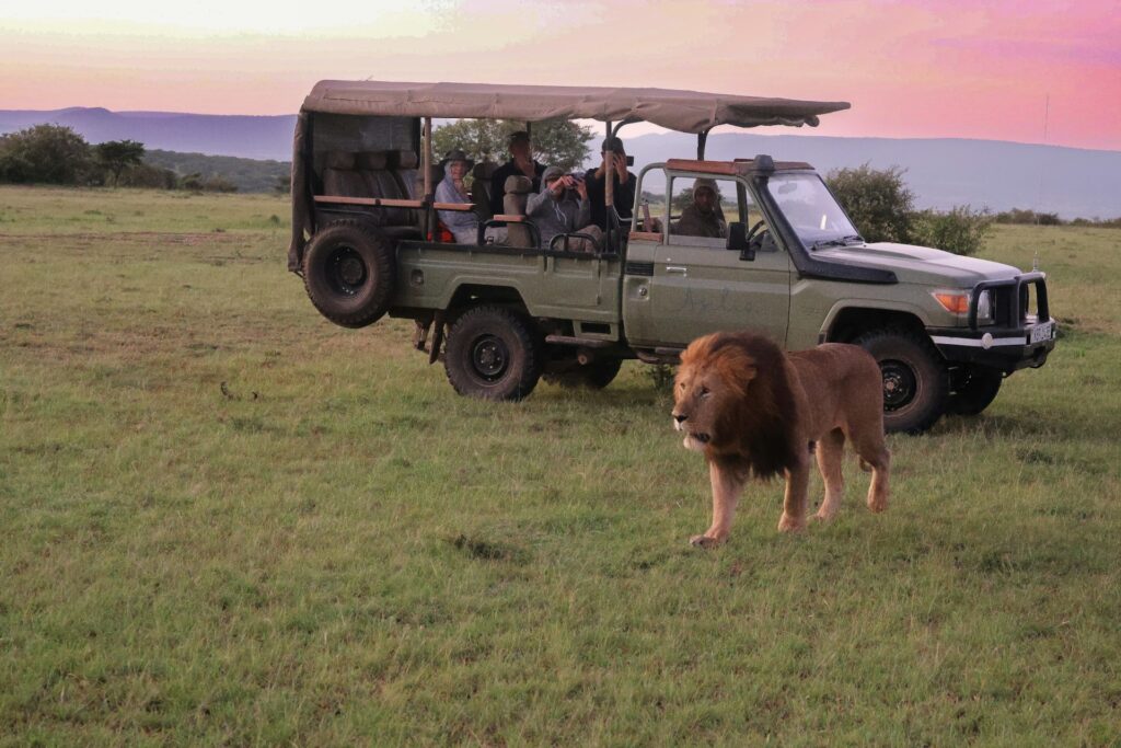 a kenya safari by meektrails