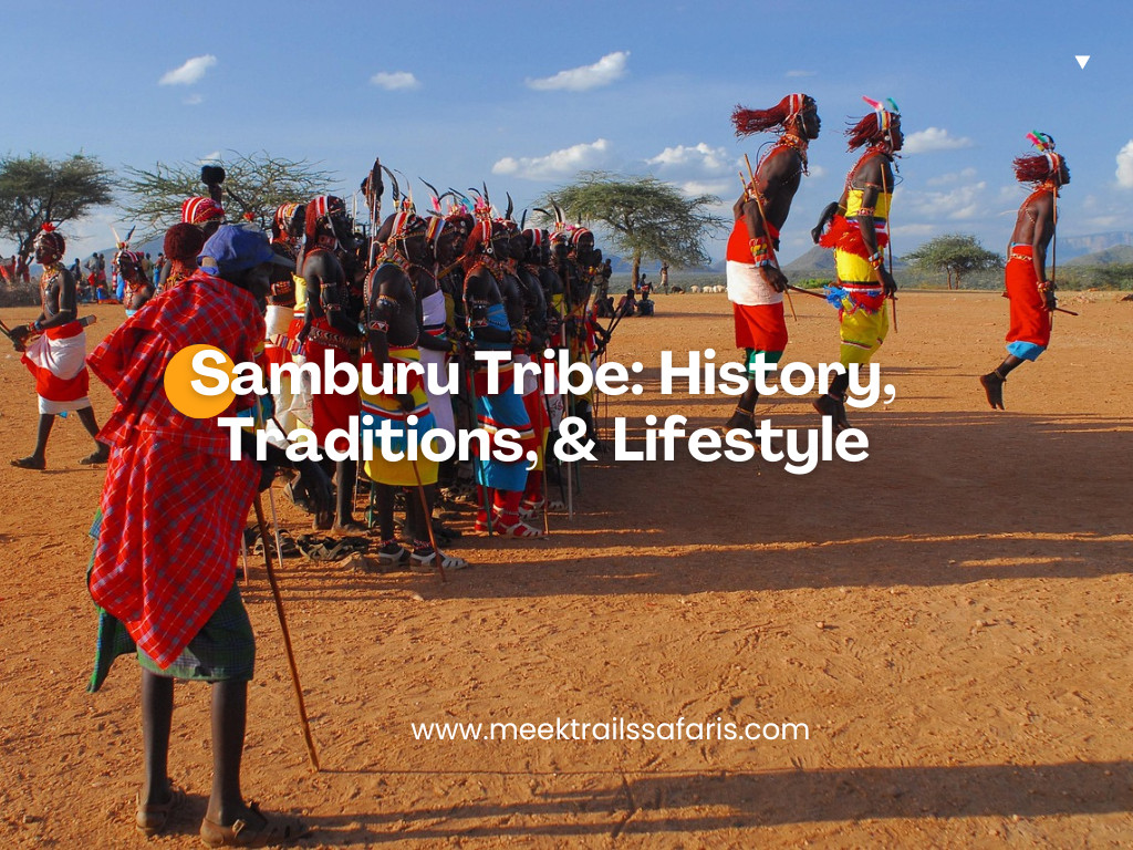 Samburu people History, Traditions, Lifestyle