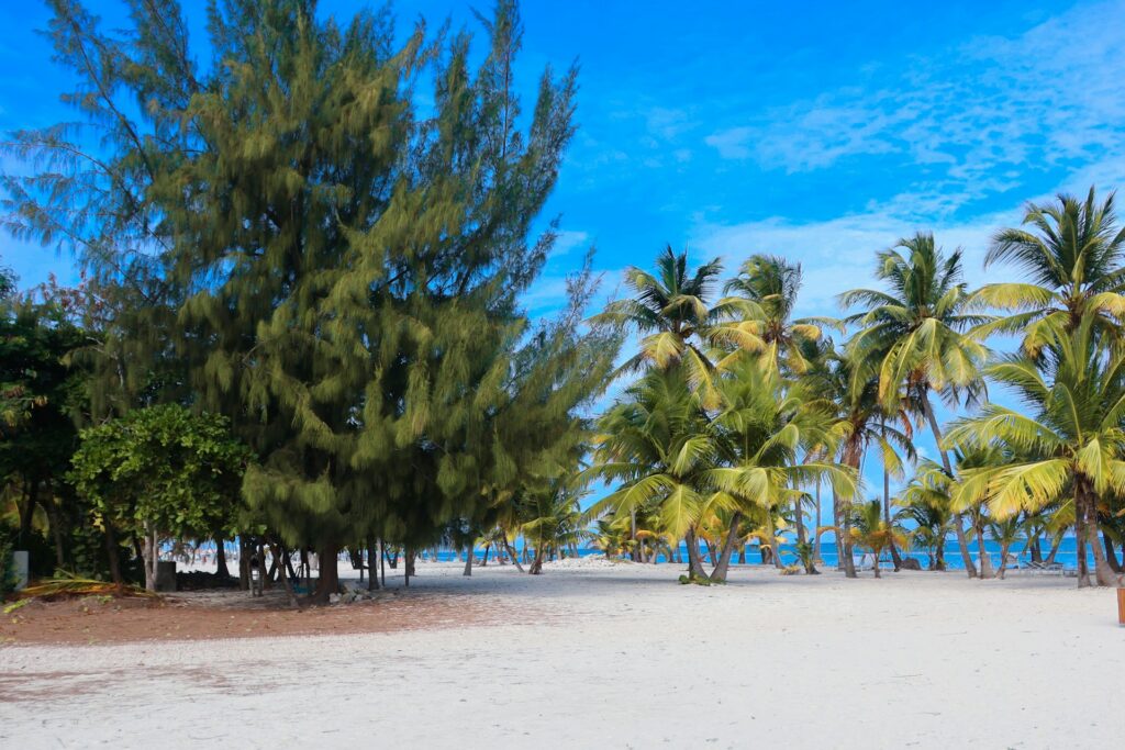 
mombasa safari and beach holiday