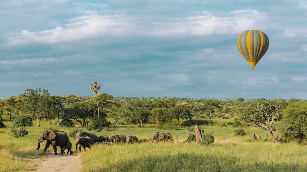 How Much Does a Kenya Safari Cost in 2026? 6 balloon safari in kenya