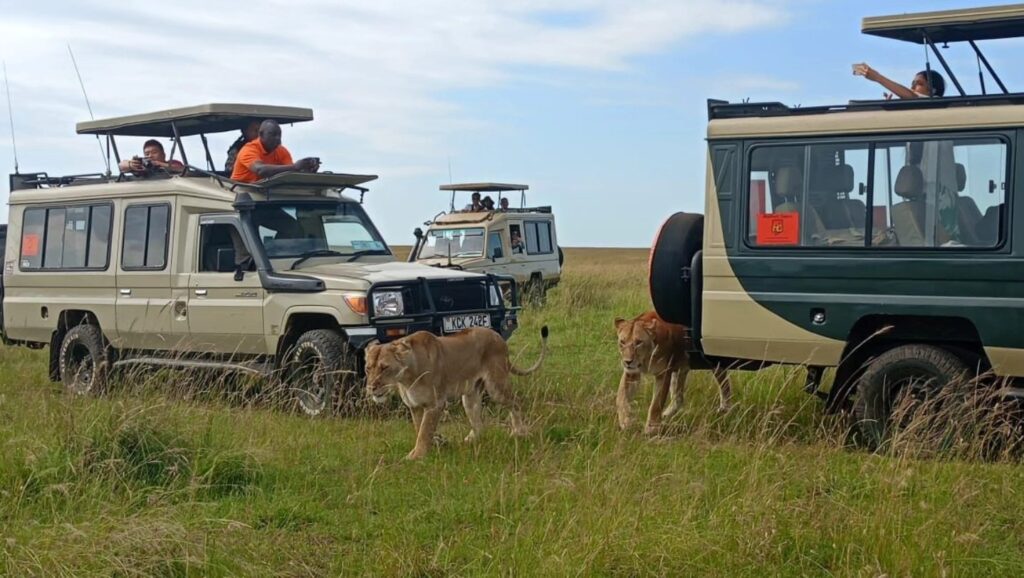 kenya safari cost