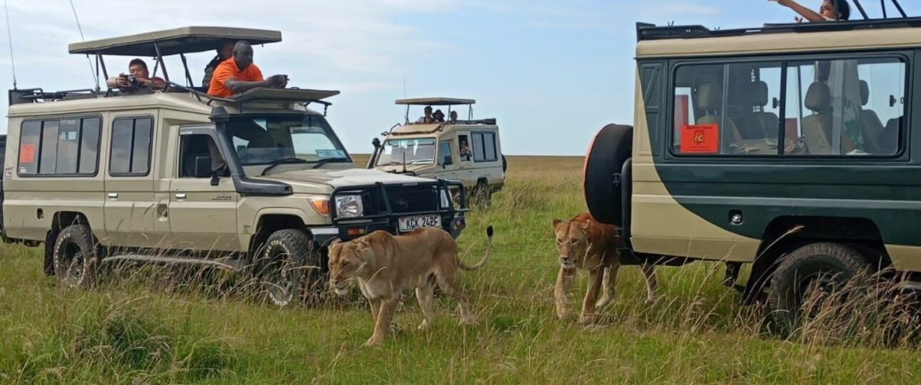 kenya safari cost
