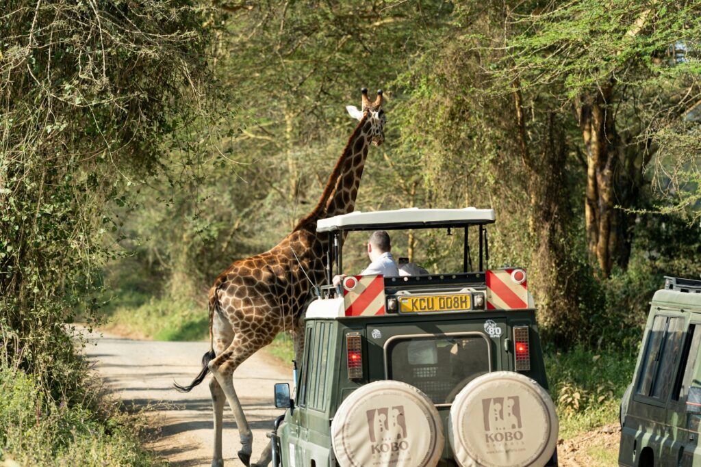 Kenya Safari Health Guidelines 1 Health and Safety Guidelines for Your Kenya Safari