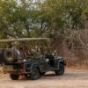 Kenya Safari Health Guidelines