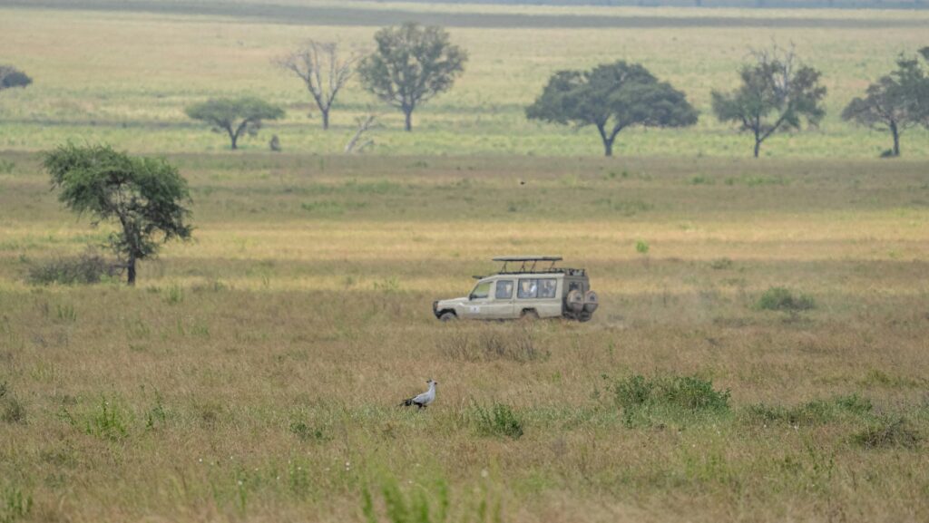 10 Reasons to Book a Kenya Safari This Year 10 kenya safari booking