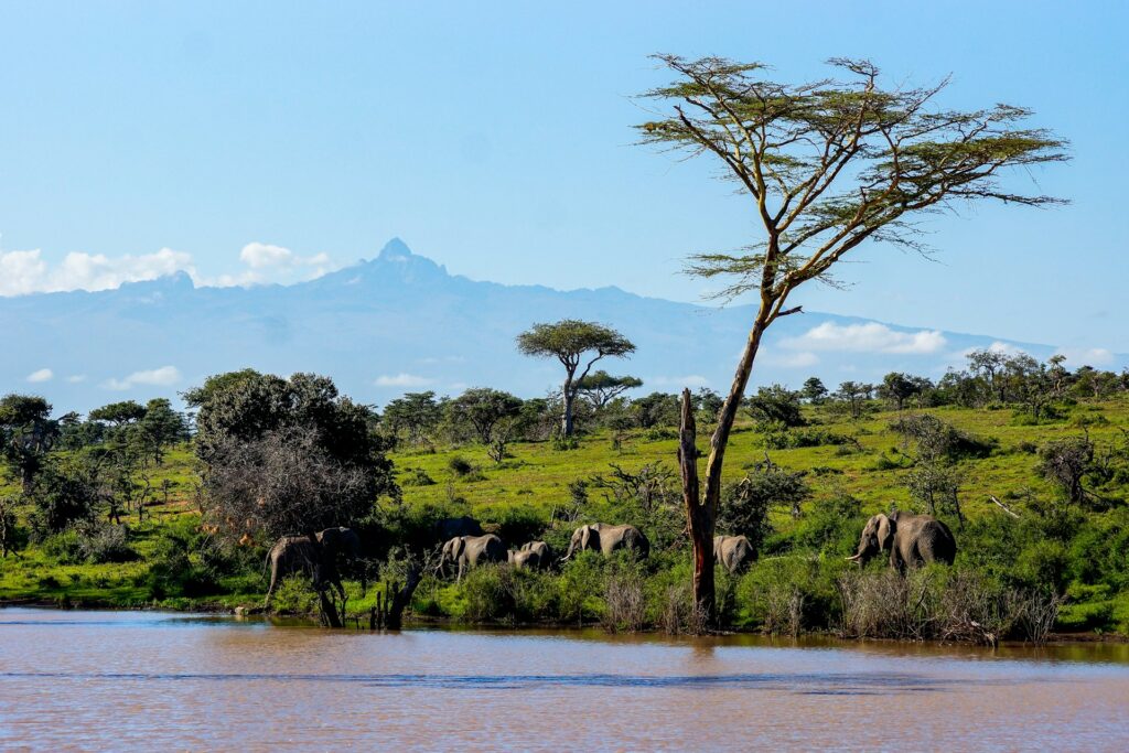 10 Reasons to Book a Kenya Safari This Year 6 kenya safari landscapes