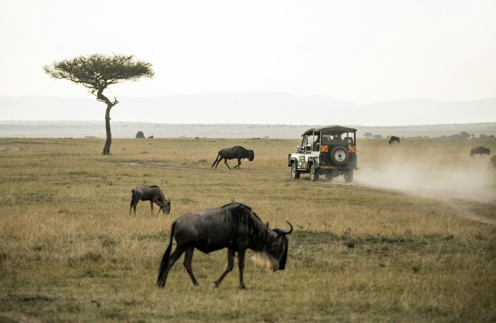 10 Best Things to Do in Masai Mara 1 things to do in masai mara