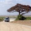 Kenya Safari for First-Time Visitors