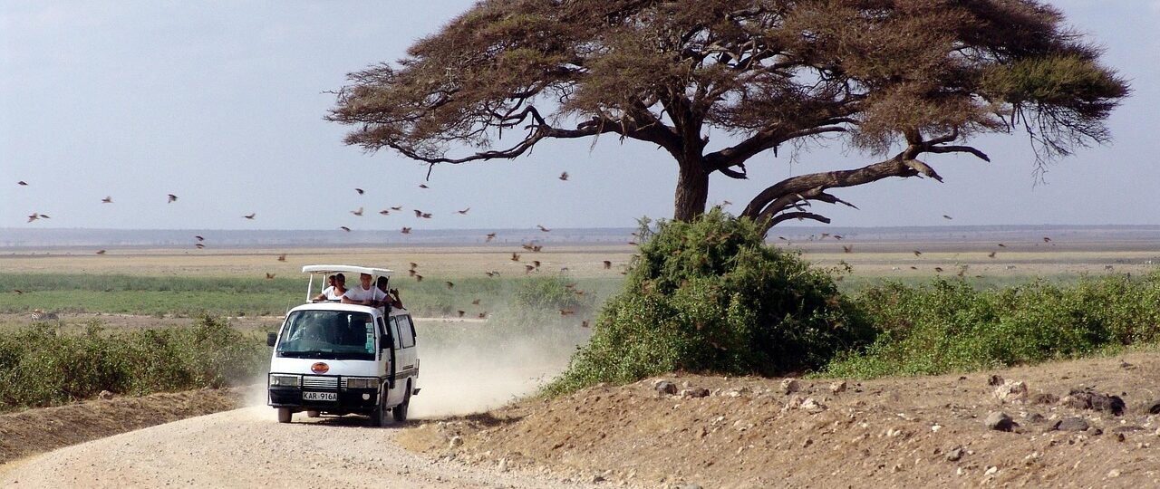Kenya Safari for First-Time Visitors 1 Kenya Safari for First-Time Visitors