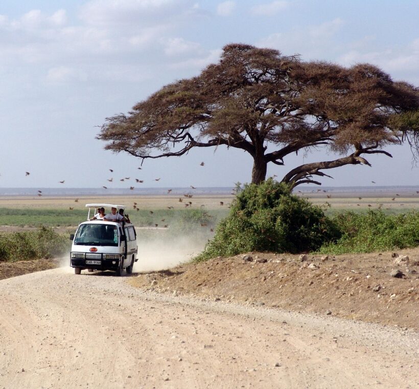 Kenya Safari for First-Time Visitors 1 Kenya Safari for First-Time Visitors