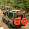 Kenya Safaris
