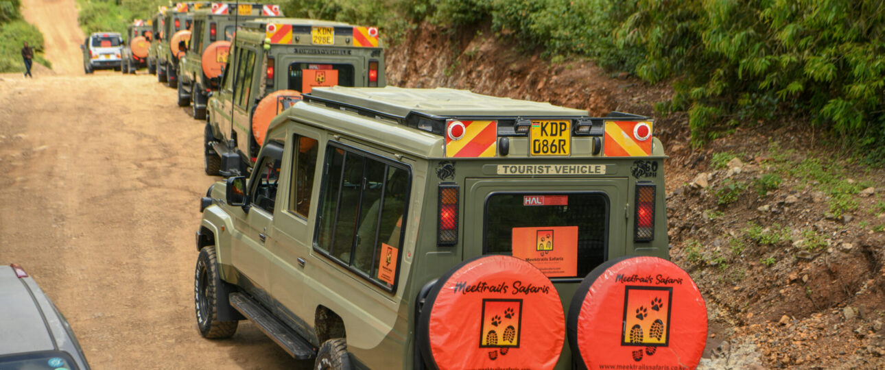 Meektrails Safaris: Quality & Good Services for Kenya Safaris 1 Kenya Safaris