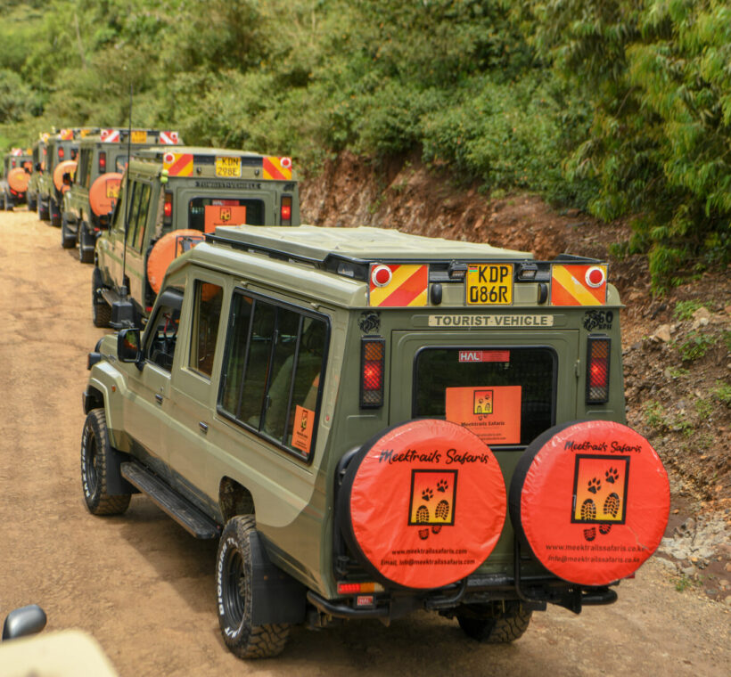 Kenya Safaris