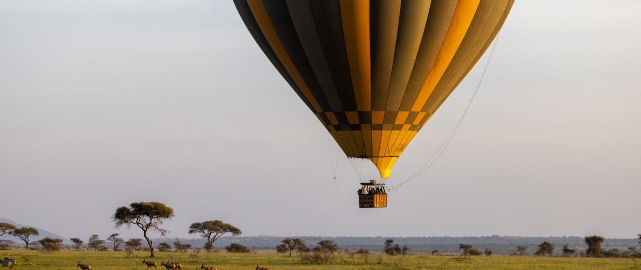 Luxury Kenya Safari: What to Expect 5 Luxury Kenya Safari