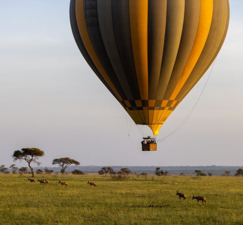 Luxury Kenya Safari: What to Expect 1 Luxury Kenya Safari