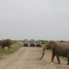 Places to Visit on a Kenya Safari
