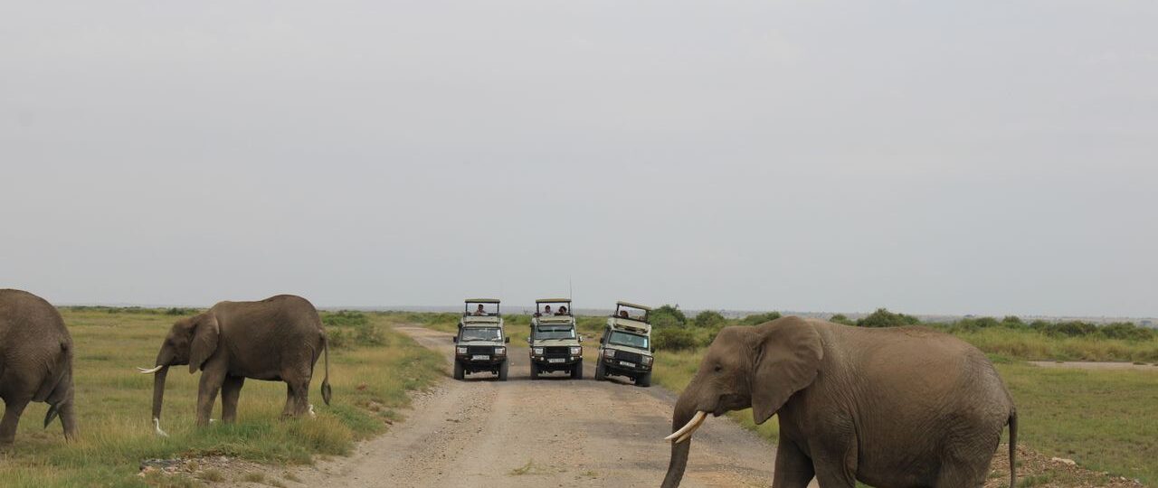 10 Best Places to Visit on a Kenya Safari 3 Places to Visit on a Kenya Safari